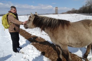 Парк природы Беремицкое